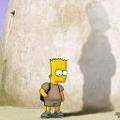 Bart.jpg